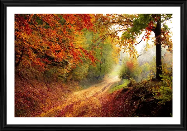 Mysterious_way_to_Red_Woods-_Nature_Theme_Wall_Decor,_Framed,_Multicolor