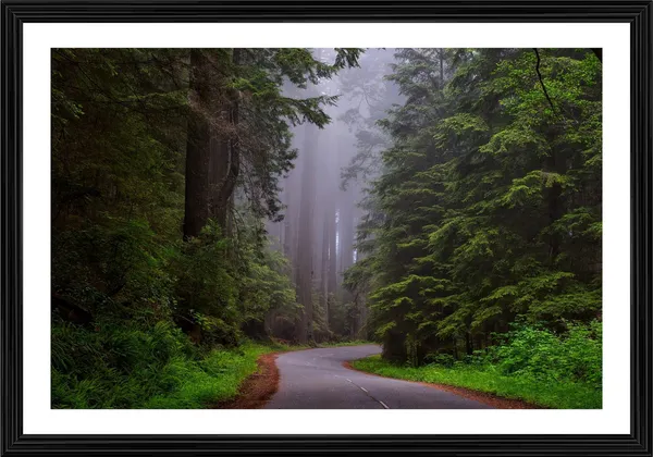 Californian_way_to_Waterfall_in_Green_Woods-_Nature_Theme_Wall_Decor,_Framed,_Multicolor