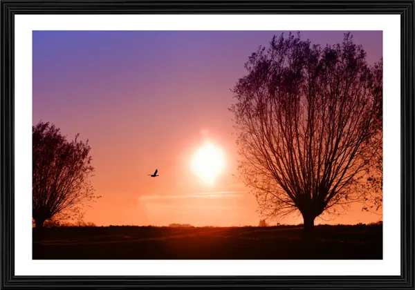 Tree_Silhouetteon_the_Sunset_Beach-_Nature_Theme_Wall_Decor,_Framed,_Multicolor