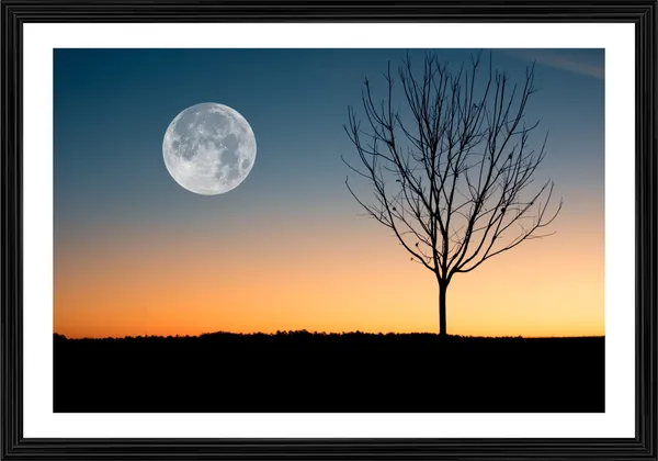 Arrival_of_the_Full_Moon_after_the_Sunset-_Nature_Theme_Wall_Decor,_Framed,_Multicolor