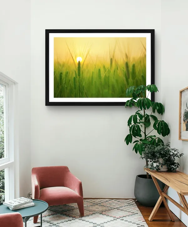 Sunset_in_the_Wheat_Fields-_Nature_Theme_Wall_Decor,_Framed,_Multicolor