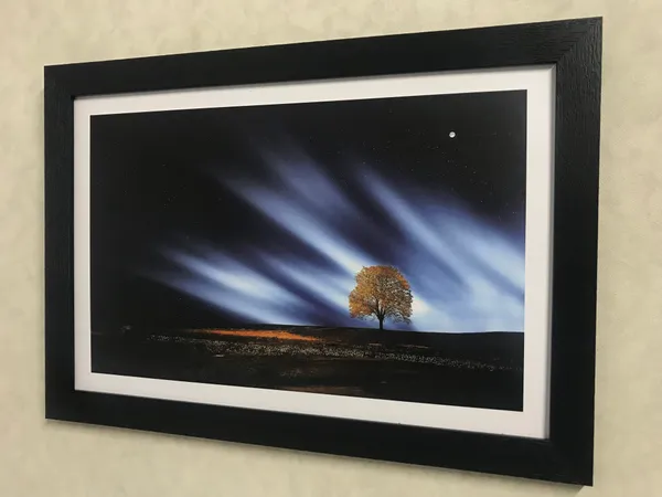 Enlightened_Tree_Alone_in_the_Desert-_Nature_Theme_Wall_Decor,_Framed,_Multicolor
