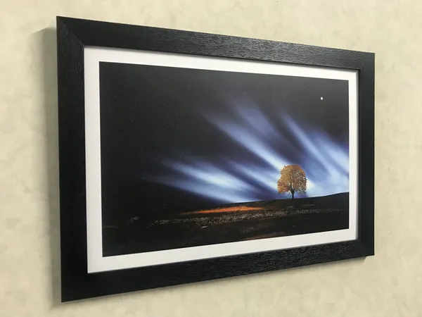 Enlightened_Tree_Alone_in_the_Desert-_Nature_Theme_Wall_Decor,_Framed,_Multicolor