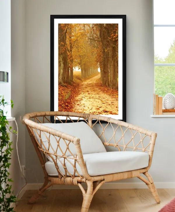 Nature_/_Universe_/_Cosmos_Theme_Wall_Decor,_Framed,_Multicolor
