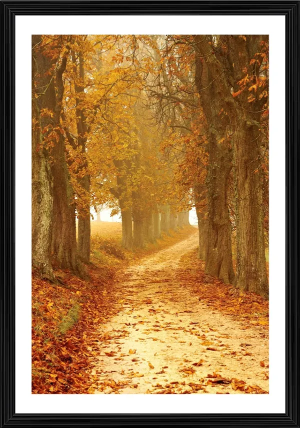 Nature_/_Universe_/_Cosmos_Theme_Wall_Decor,_Framed,_Multicolor