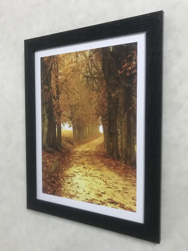 Nature_/_Universe_/_Cosmos_Theme_Wall_Decor,_Framed,_Multicolor