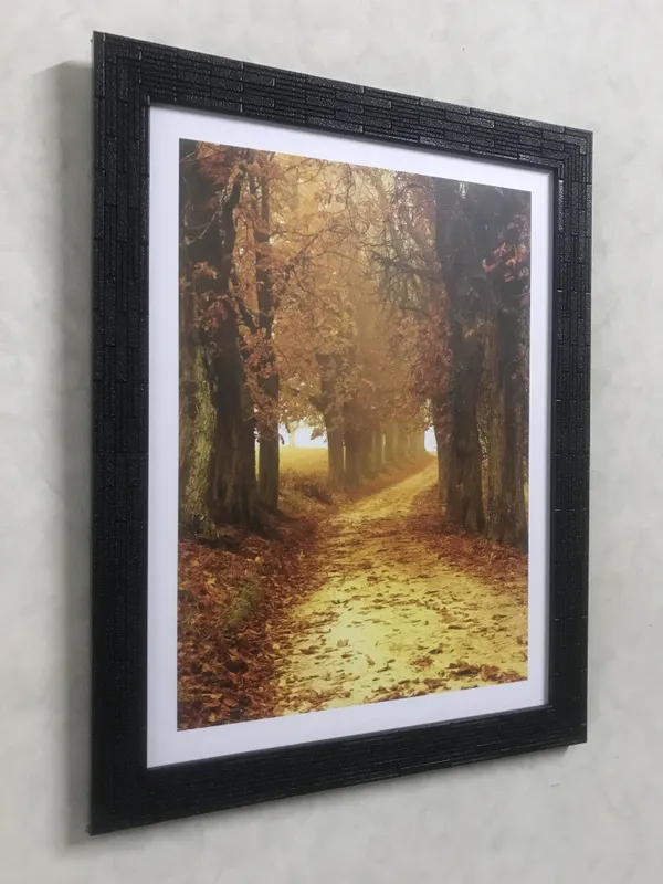 Nature_/_Universe_/_Cosmos_Theme_Wall_Decor,_Framed,_Multicolor