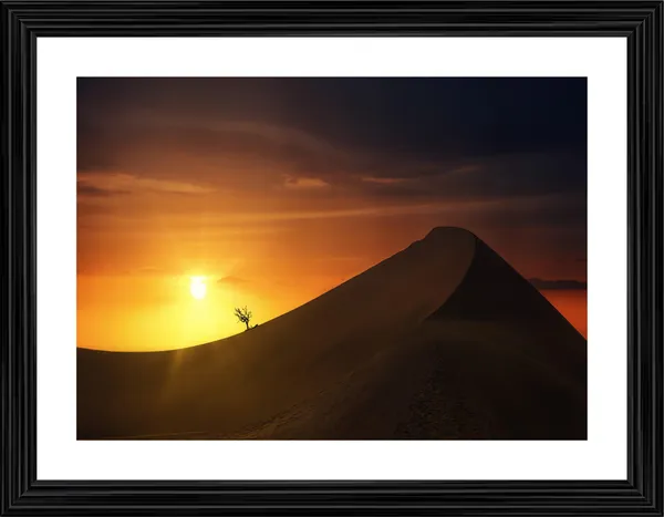Sunset_at_the_Desert,_Nature_Theme_Wall_Decor,_Framed,_Multicolor