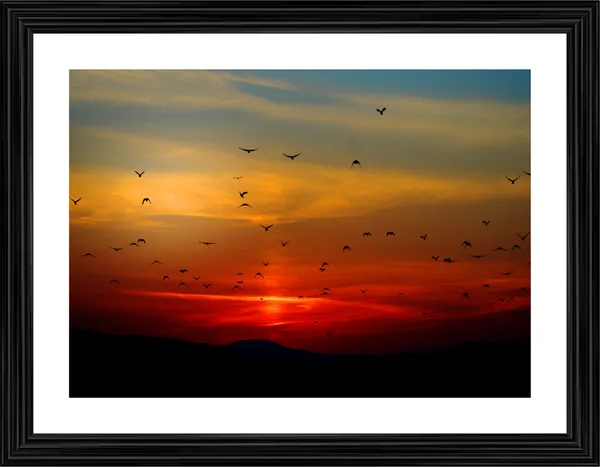 Birds_and_Sunset,_Nature_Theme_Wall_Decor,_Framed,_Multicolor