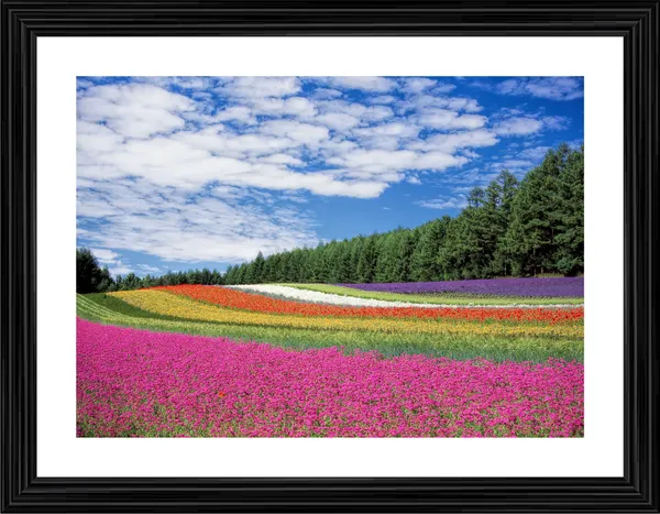 Flowerbeds_along_the_Treeline,_Nature_Theme_Wall_Decor,_Framed,_Multicolor
