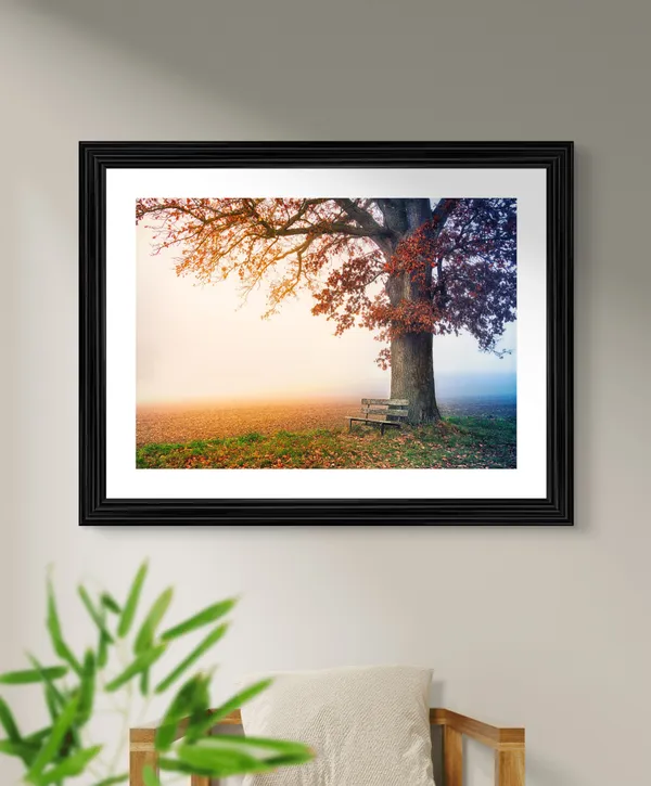 Blossom,_and_Tree_in_the_Morning,_Nature_Theme_Wall_Decor,_Framed,_Multicolor