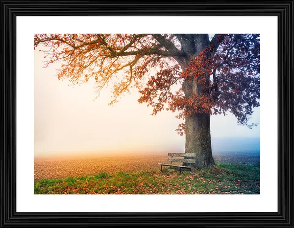 Blossom,_and_Tree_in_the_Morning,_Nature_Theme_Wall_Decor,_Framed,_Multicolor