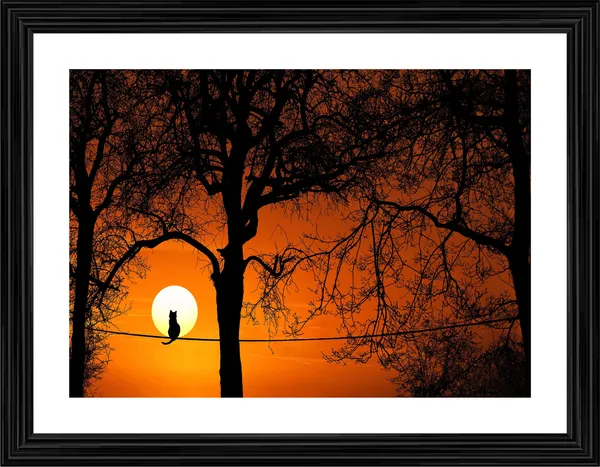 Cat_Trees_and_the_Sunset,_Nature_Theme_Wall_Decor,_Framed,_Multicolor