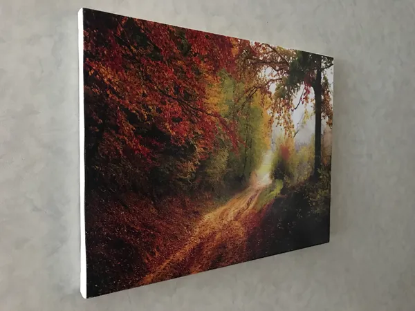 Mysterious_way_to_Red_Woods-_Nature_Theme_Wall_Decor,_Framed,_Multicolor