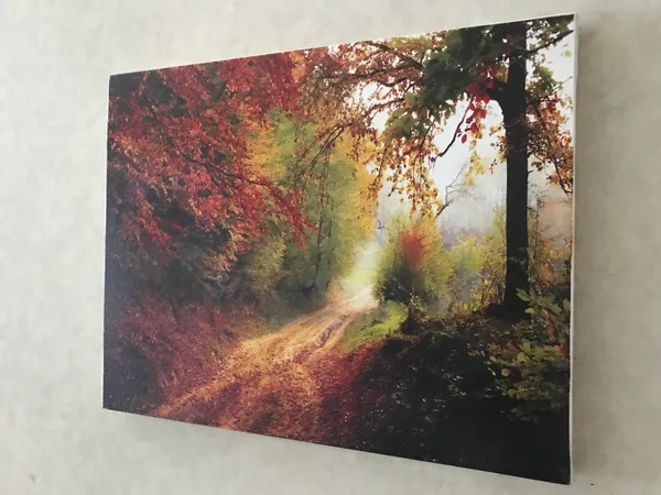 Mysterious_way_to_Red_Woods-_Nature_Theme_Wall_Decor,_Framed,_Multicolor