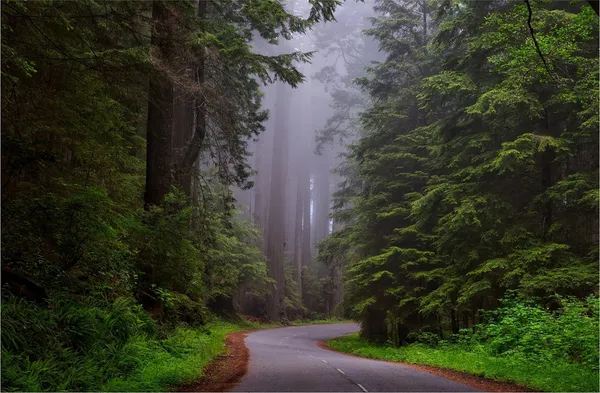 Californian_way_to_Waterfall_in_Green_Woods-_Nature_Theme_Wall_Decor,_Framed,_Multicolor