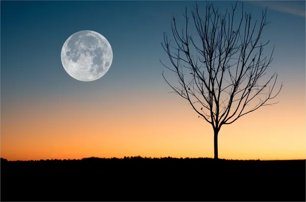 Arrival_of_the_Full_Moon_after_the_Sunset-_Nature_Theme_Wall_Decor,_Framed,_Multicolor