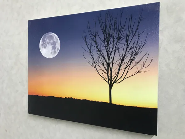 Arrival_of_the_Full_Moon_after_the_Sunset-_Nature_Theme_Wall_Decor,_Framed,_Multicolor