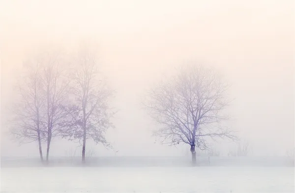 Winter_Landscape_in_Europe-_Nature_Theme_Wall_Decor,_Framed,_Multicolor