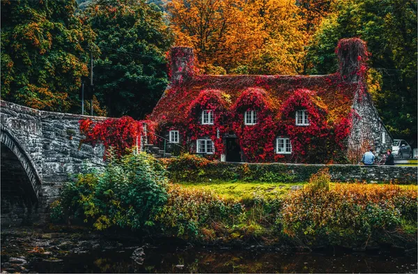Farmhouse_in_the_Dreams-_Nature_Theme_Wall_Decor,_Framed,_Multicolor