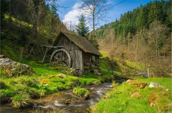 Mysterious_Farmhouse_in_Green_Woods-_Nature_Theme_Wall_Decor,_Framed,_Multicolor