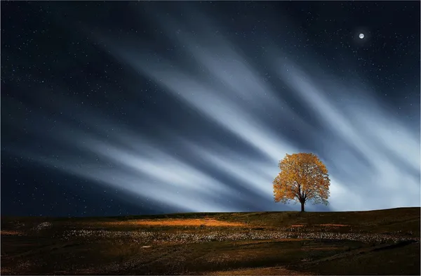 Enlightened_Tree_Alone_in_the_Desert-_Nature_Theme_Wall_Decor,_Framed,_Multicolor