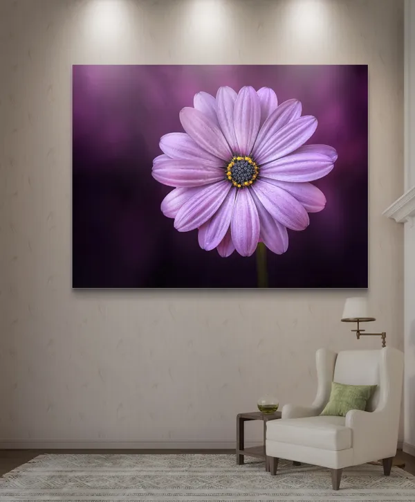 Pink_Orchid_Flower_with_Wine_Background-_Nature_Theme_Wall_Decor,_Framed,_Multicolor