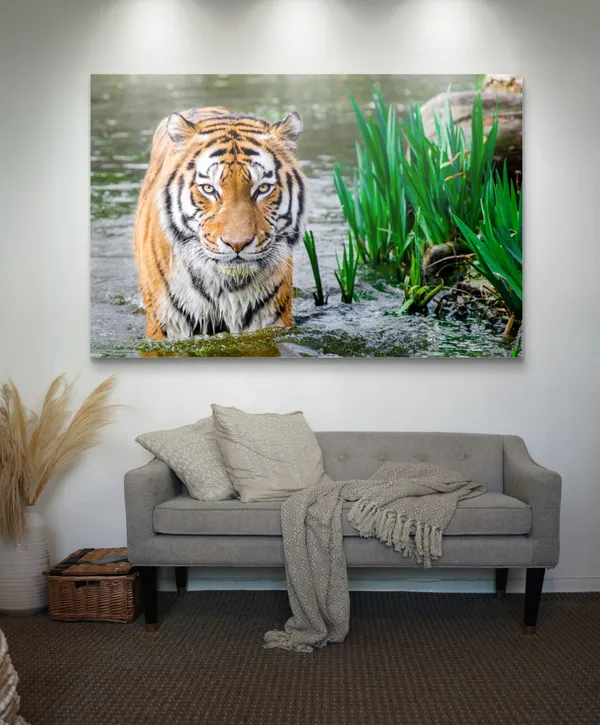 King_of_the_Jungle_in_the_River_Waters-_Nature_Theme_Wall_Decor,_Framed,_Multicolor