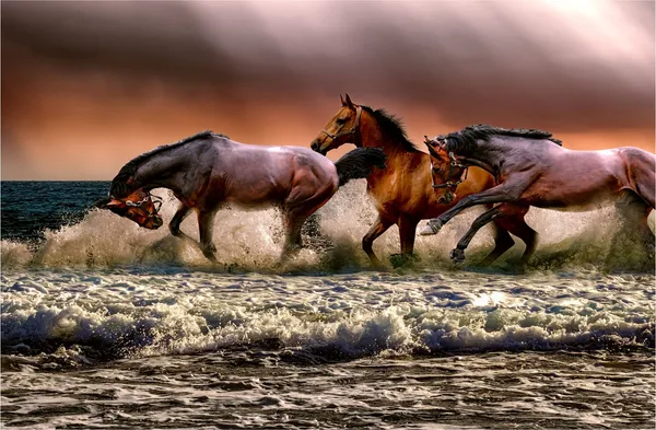 Horses_on_the_Stormy_Beach-_Nature_Theme_Wall_Decor,_Framed,_Multicolor