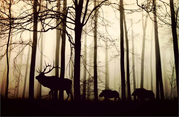 Wild_Deer_in_the_Forest-_Nature_Theme_Wall_Decor,_Framed,_Multicolor