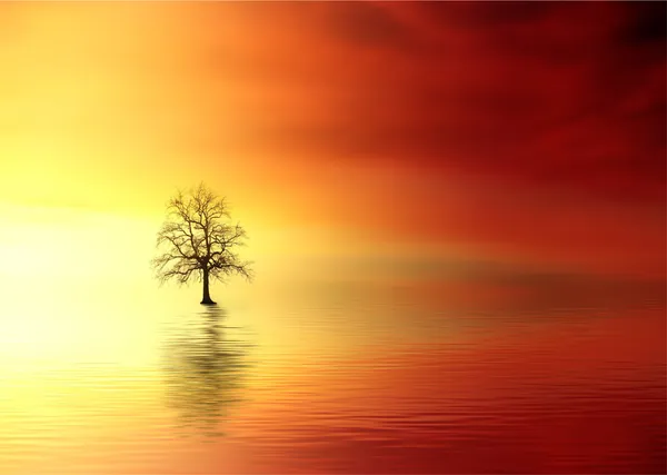 Sunset_and_a_Tree,_Nature_Theme_Wall_Decor,_Framed,_Multicolor