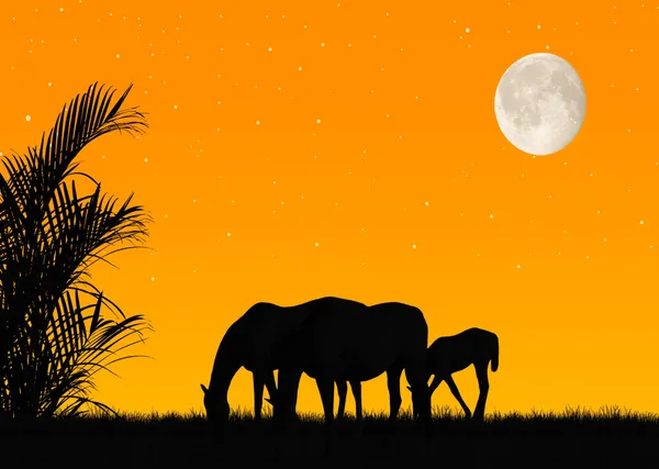 Horses_with_a_Rising_Moon,_Nature_Theme_Wall_Decor,_Framed,_Multicolor