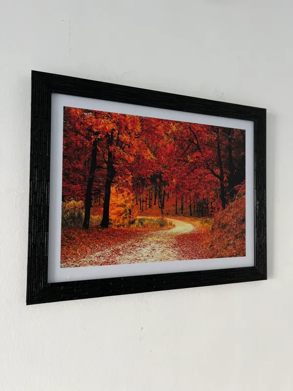Mysterious_way_through_Orange_Blossom-_Nature_Theme_Wall_Decor,_Framed,_Multicolor