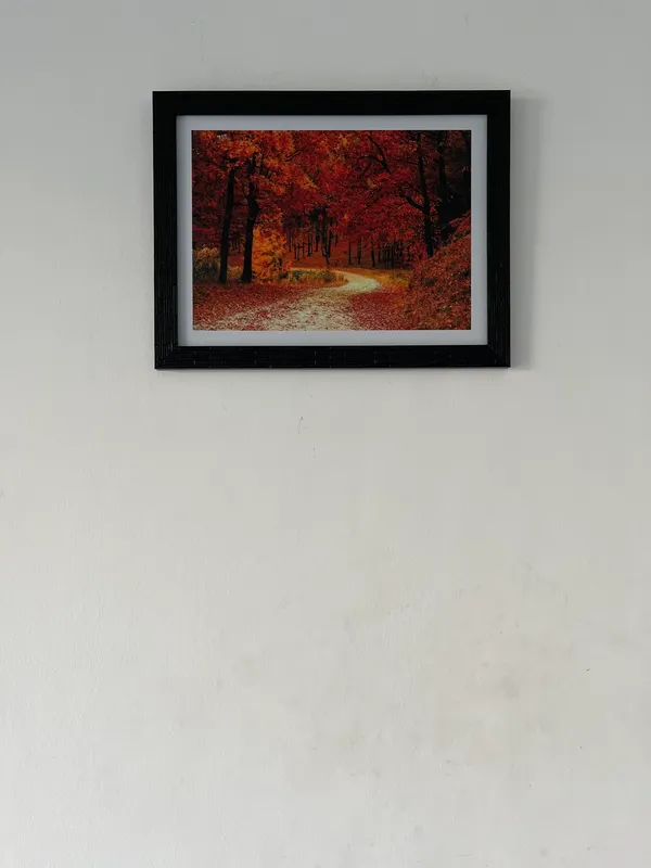 Mysterious_way_through_Orange_Blossom-_Nature_Theme_Wall_Decor,_Framed,_Multicolor