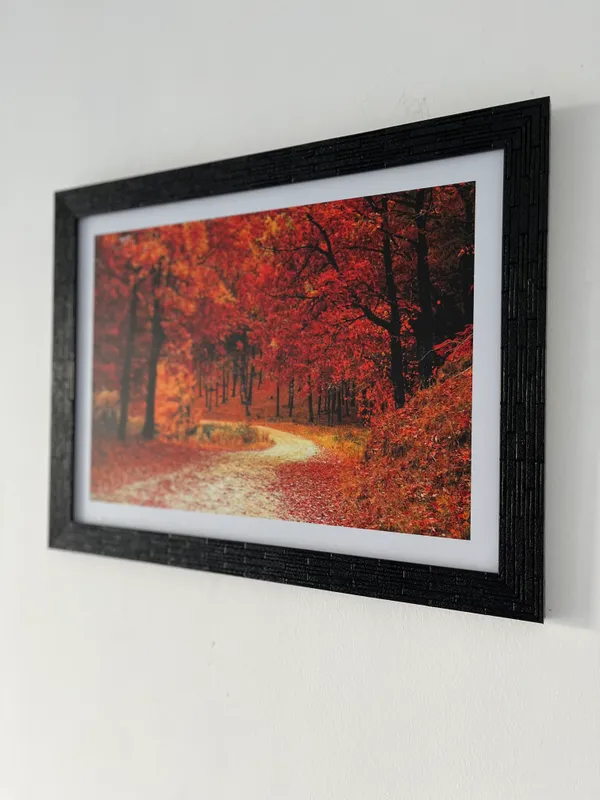 Mysterious_way_through_Orange_Blossom-_Nature_Theme_Wall_Decor,_Framed,_Multicolor