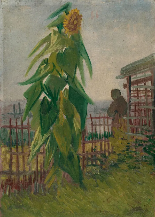 Allotment_with_Sunflower_(1887)_,_A_Painting_by_Van_Gogh,_Unframed_Canvas_Print,_Multicolor