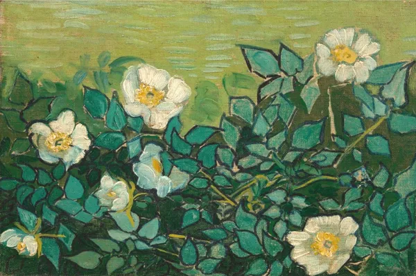 Wild_Roses_(1889),_A_Painting_by_Van_Gogh,_Unframed_Canvas_Print,_Multicolor