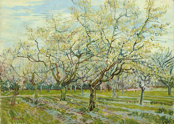 The_White_Orchard_(1888),_A_Painting_by_Van_Gogh,_Unframed_Canvas_Print,_Multicolor