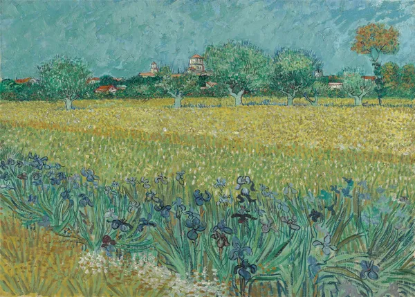 Field_with_Irises_near_Arles_(1888),_A_Painting_by_Van_Gogh,_Unframed_Canvas_Print,_Multicolor