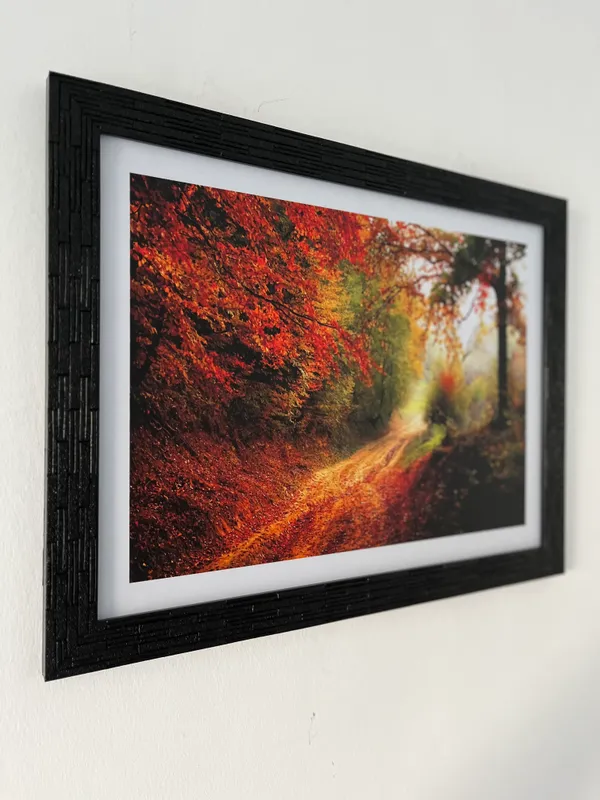 Mysterious_way_to_Red_Woods-_Nature_Theme_Wall_Decor,_Framed,_Multicolor