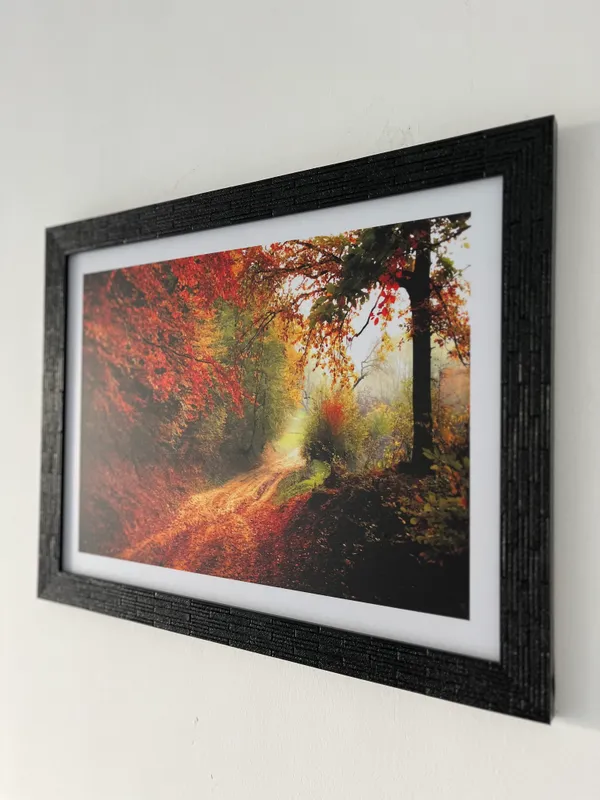 Mysterious_way_to_Red_Woods-_Nature_Theme_Wall_Decor,_Framed,_Multicolor