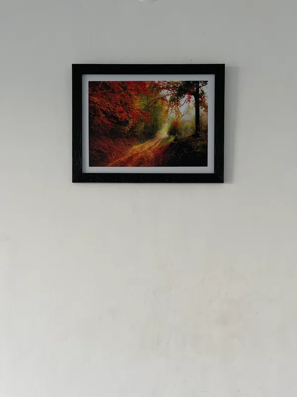 Mysterious_way_to_Red_Woods-_Nature_Theme_Wall_Decor,_Framed,_Multicolor