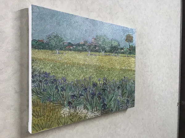 Field_with_Irises_Near_Arles_1888,_A_Painting_by_Van_Gogh,_Framed_Canvas,_Wall_Decor,_Multicolor