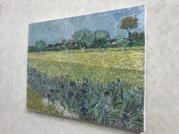 Field_with_Irises_Near_Arles_1888,_A_Painting_by_Van_Gogh,_Framed_Canvas,_Wall_Decor,_Multicolor