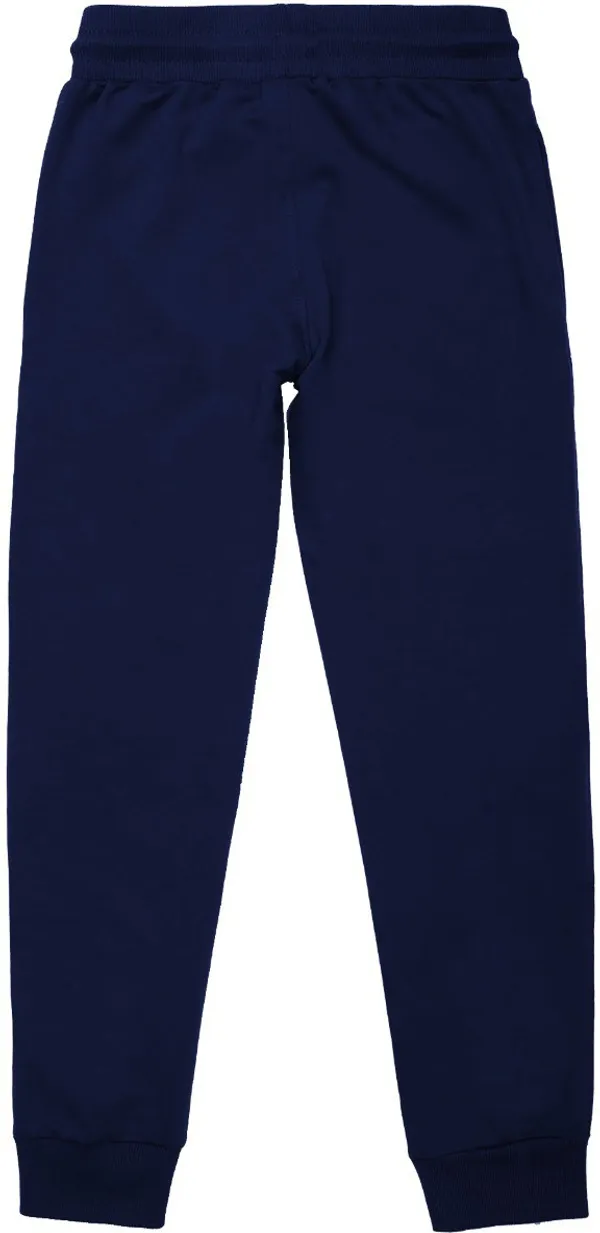 Blue_Cotton_Blend_Graphic_Print_Track_Pant_For_Boys_(Pack_of_2)
