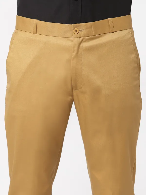 Beige_Skinny_Fit_Viscose_Rayon_Formal_Zipper_Trouser_For_Men