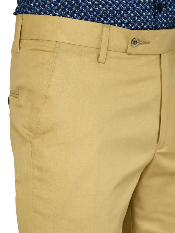 Beige_Relaxed_Viscose_Rayon_Formal_Zipper_Trouser_For_Men