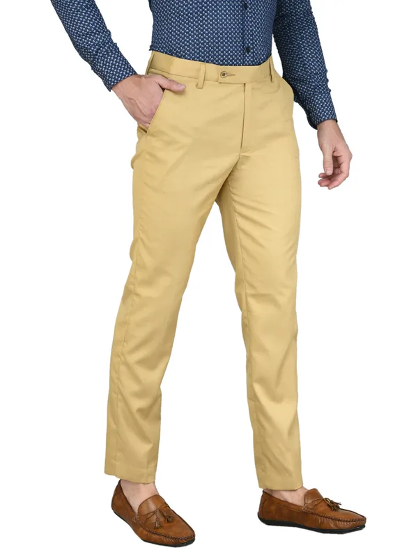 Beige_Relaxed_Viscose_Rayon_Formal_Zipper_Trouser_For_Men