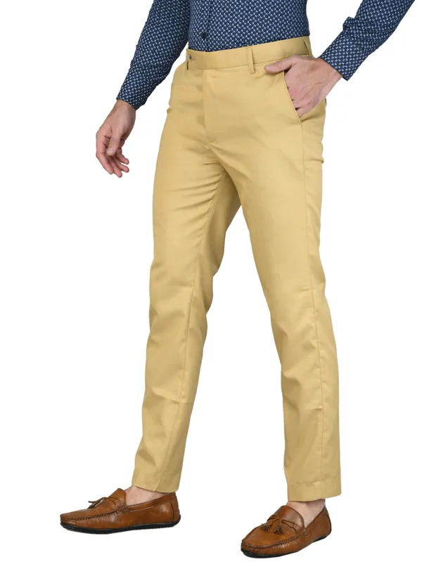 Beige_Relaxed_Viscose_Rayon_Formal_Zipper_Trouser_For_Men