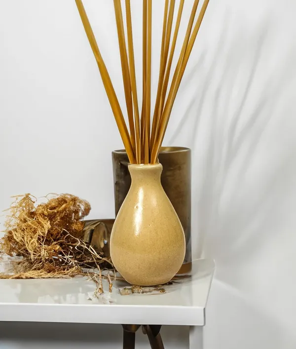 Empty_Ceramic_Reed_Diffuser_Pot_for_Home_Fragrance_(Bottle_Type,_Brown)